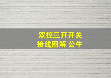 双控三开开关接线图解 公牛